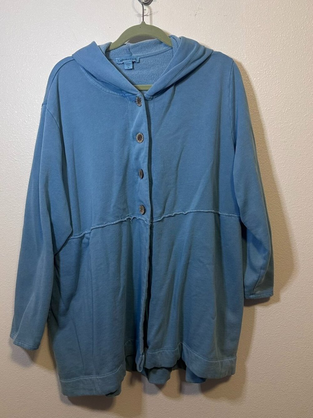 Blue Hooded Button Up